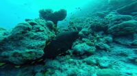 Egypt_2014_02_N19