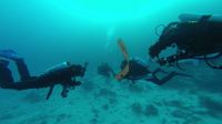 Egypt_2014_02_N20
