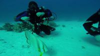 Bild_10
