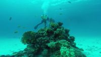 Bild_12