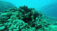 Bild_24